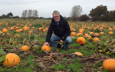 Peter Peter Pumpkin Eater